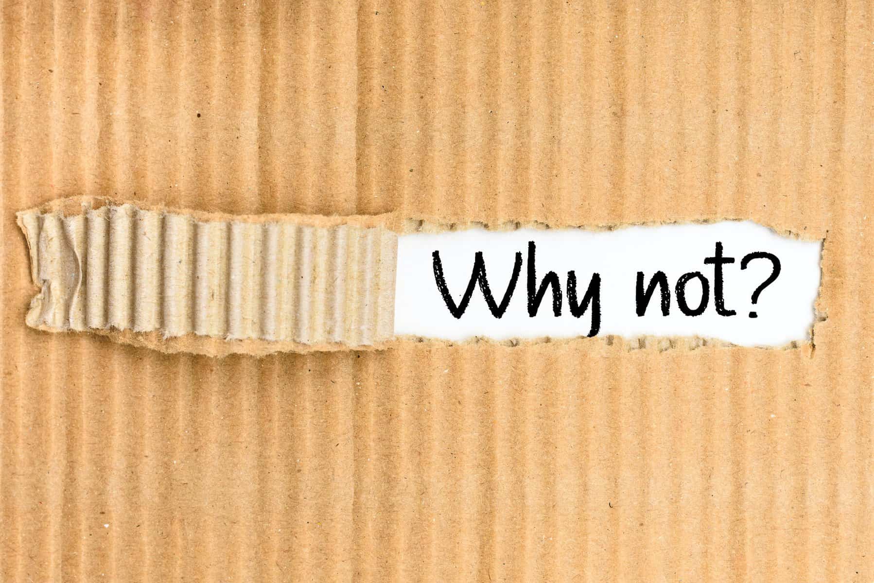 Why not, take the opportunity, corrugated torn cardboard background in white paper