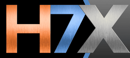 Discover H7X: A High-Performance Track for Members 1 H7X = High-Performance networking for 7 to 10 (X) Members of H7. Ready to play a bigger game inside H7 Network? H7X is your next step. H7X is an invitation-only, high-performing experience for members who want to collaborate at a deeper level, sharpen their strategy, and generate more predictable introductions with a committed circle of peers.